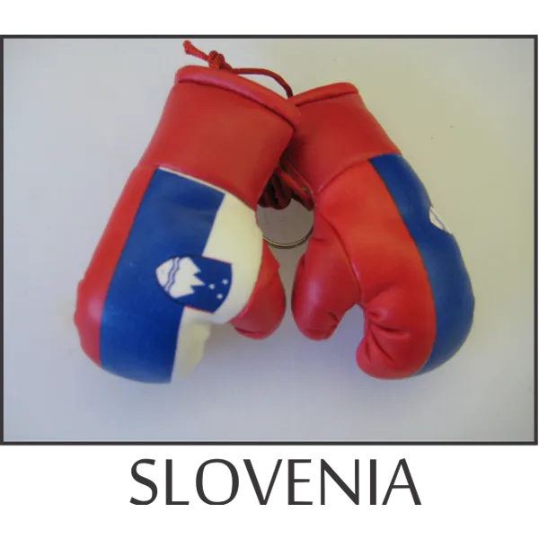 Slovenia Mini Boxing Glove
