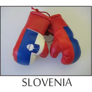Slovenia Mini Boxing Glove